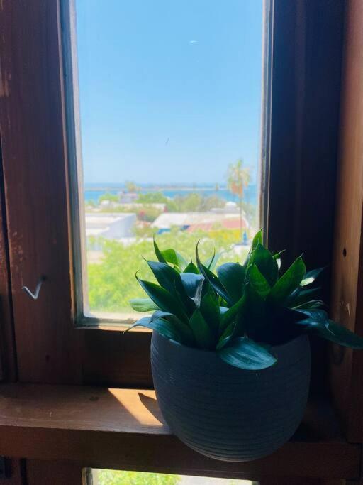 Casa Bahia 2 Blocks Malecon Amaizing Ocean View Lejlighed La Paz Eksteriør billede